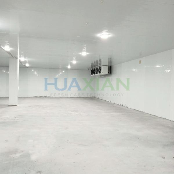 Copeland Refrigeration Walk in Cold Room for Fish, Meat, Vegetable, Fruit
