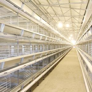Wholesale Laying Eggs Automatic Chicken Cage , Large Scale Farm Free Range Chicken Cage from china suppliers