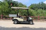 2 Seats Electric Golf cart With Aluminum Cargo Box 560KG Weight Capacity