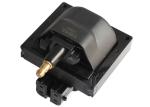 Gasoline Generator Parts Ignition Coil Pack Powerful OE 1115466 1115468 1115491