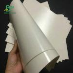 Food Grade 260 + 15 PE Coated Cup Stock Paper White For Coffee Cup
