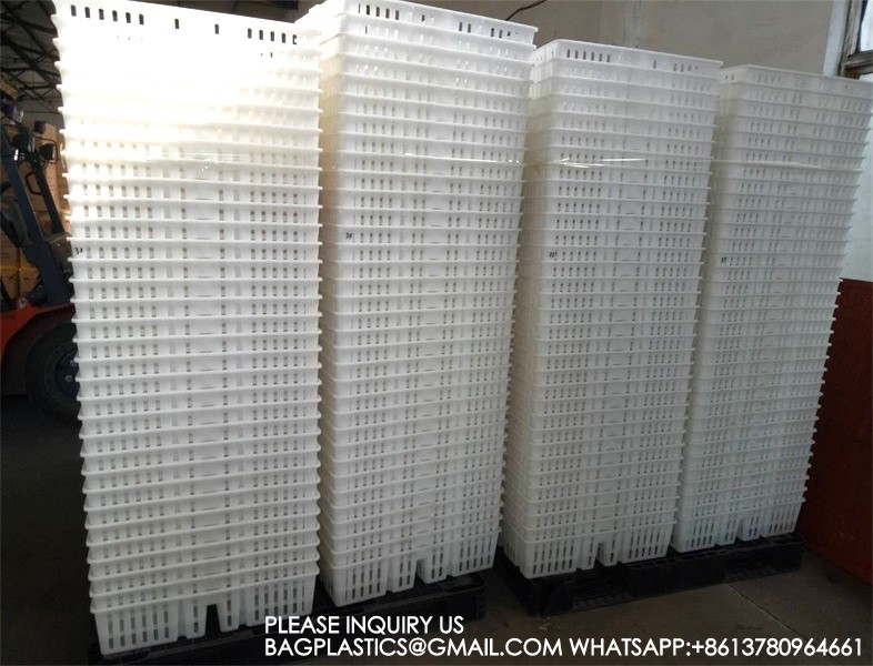 sustainable white chicken cage 680*490*160mm Virgin PP Transportation Chicken Cage