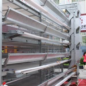 Wholesale H Frame 256 Birds Battery Cage System In Poultry Farm Automatic Cleaning from china suppliers