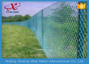Wholesale Strong RAL Colors Metal Chain Link Fence Good Protection Characteristic from china suppliers