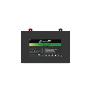 Wholesale Ion Lithium Rv Battery 12V 200ah 100ah 300ah LiFePO4 Cell Deep Cycle from china suppliers