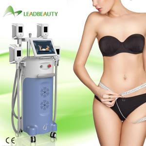 Wholesale Positive Feedback body shaping Cryolipolysis slimming machine from china suppliers