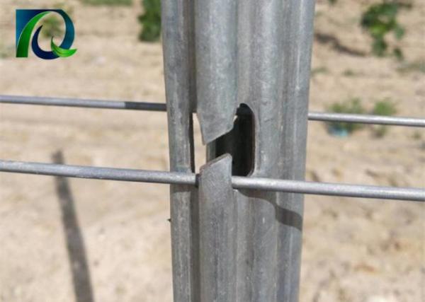 Heavy Duty Metal Vineyard Trellis Posts With H-Shaped Holes Long Service Life