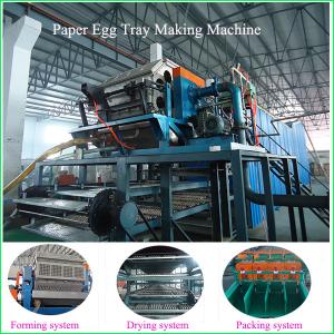 Wholesale egg tray machine production line with multilayer dryer from china suppliers