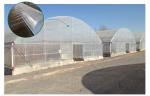 Optimal Plant Cultivation Tunnel Greenhouse Covered with 150/200micro PO Film