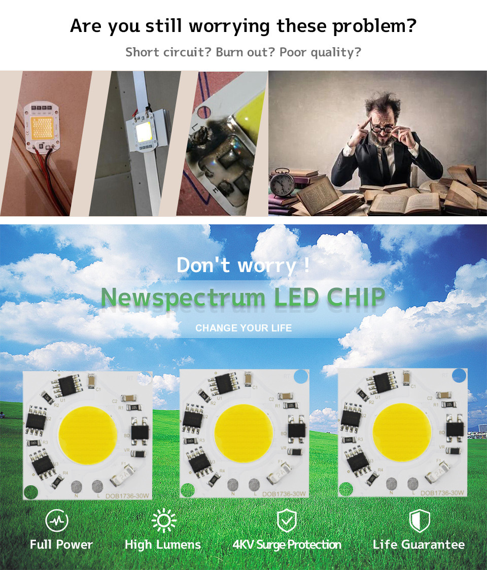 COB 220V LED Module Cold White 30w Cob Led For Outdoor LED Bulb