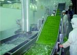 Intelligent Vegetable Fruit Production Line Automatic Packaging Conveyor Systems