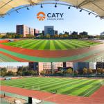 Free Sample Anti- UV EPDM Rubber Granules for Football Field Artificial Grass
