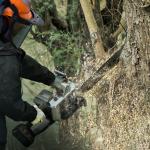 SAFEYEAR 16'' Cordless Wood Cutting Machine 21volt Cordless Saw Tools