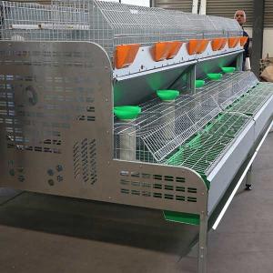 Wholesale Durable Large Scale Farm Rabbit Cage Low Disease Rate For Female Rabbit from china suppliers