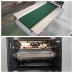 Quick Frozen Food Packing Pillow Machine Stainless Steel Pillow Sealing Machine
