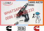 Fuel Injector 3083863 4903319 3083871 3609925 3083849 4061851 4903084 4307547