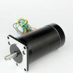 Faradyi Customized 12V 48V 72V PMSM 42BLS Small Brushless Bldc Servo Dc Motor