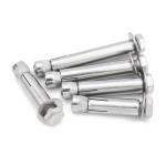ISO Standard High Strength M8 M20 M36 Stainless Steel SS304 SS316 Wedge Anchor