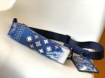 Small Gaston Louis Vuitton LV Pochette Wallet Double Zip Wearable