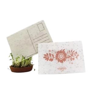 Wholesale Custom Paper Seed Embedded Cards Printed Plantable Herb Seed Paper from china suppliers