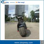 two wheels Citycoco 1000W 60V adult electric scooter battery box removable