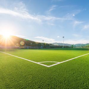 Wholesale Professional Synthetic Artificial Wall Grass Decorative Fake Grass Outdoors from china suppliers