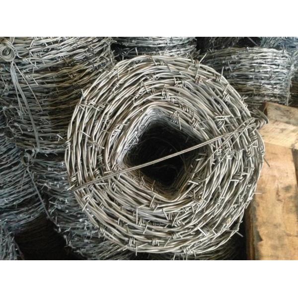12*14 Bwg 60g High Zinc Coated Galvanized Barbed Wire Positive Used With Protective Fence