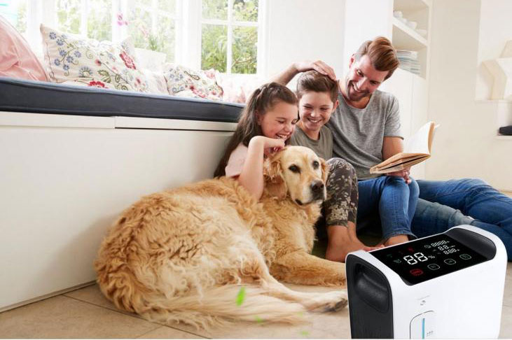 Electric Portable Oxygen Concentrator with oxygen concentration 93% hot selling