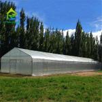0.06mm 0.20mm Thick Flm Poly Tunnel Greenhouse Hot Galvanised Steel Greenhouse