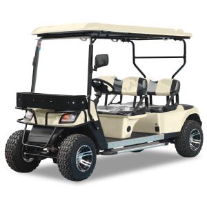 China White 2 Rows 4 Seater Golf Cart Customizable Color With Front Basket Eazy Drive on sale