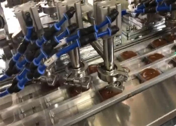 Olive Oil Cheese Pharmaceutical Blister Packaging Machines High Packaging Efficiency