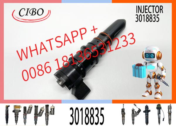 Diesel Common Rail Injector 3406604 3411821 3071497 3087648 4914328 3018835