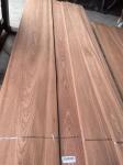 Sliced Natural Crown/Plain Cut Sapelli Veneer Sheet For Plywood