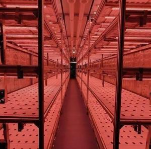 Wholesale Steel Cover Material Hydroponic Vertical Farming Container System for Shaped Roof from china suppliers