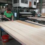 American White Oak Straight Rough Fancy Plywood / Particle Board Standard Size
