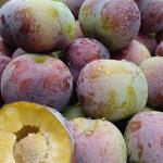 Stainless Steel Plums Sorting And Grading Machine 380V / 50Hz