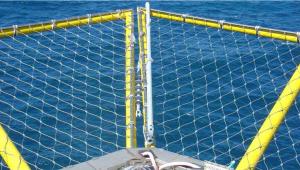 Wholesale 30mm*30mm Opening Size SS316 Stainless Steel Wire Rope Safety Net For Delideck Protection from china suppliers