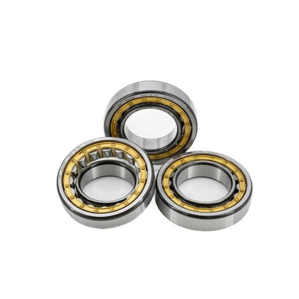 Open Seals Type N/NU/NJ/NF1008EM Cylindrical Roller Bearing 40*68*15mm for