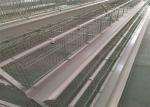 4 Tier 5 Doors Layer Chicken Cage 2300mm Width Poultry Layer Cage