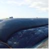 Buy cheap GT1000 High Strength PP Woven Geotextile 200kn/M Geotube Breakwater In Marine from wholesalers