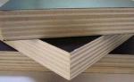 Moisture Proof Brown Plywood Wall Paneling / Film Faced Shuttering Ply 2-30mm