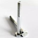 Stainless Steel SS304 SS316 High Strength Bolt M2 - M12.9