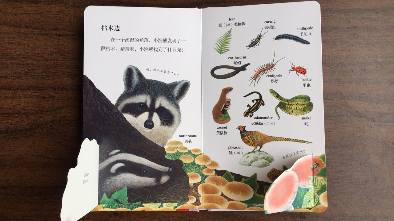 Education Recycled Family Board Book For Baby FSC SGS Certification