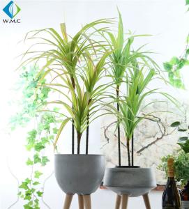 Wholesale Dracaena Cinnabari Artificial Potted Plants , Green Dragon Tree Bonsai from china suppliers