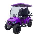 Wholesaler Delivery To Door Cheap Price 4 Seater Electric Golf Carts