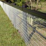 Used Plastic Galvanized Iron Barbed Wire Coil with Zinc Coating at Affordable