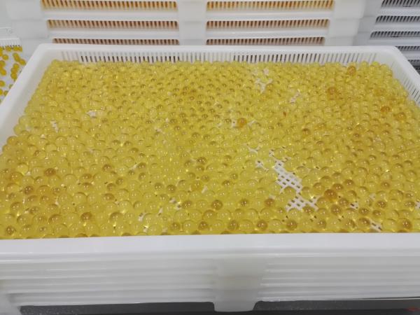 Food Grade Plastic Drying Trays Pharmaceutical Drying For Softgel Capsules and