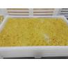 Buy cheap Food Grade Plastic Drying Trays Pharmaceutical Drying For Softgel Capsules and from wholesalers