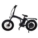 2024 20 inch Snow Fat Tire Electric Bike with 48V 13Ah Battery and Torque of 30