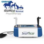 Portable High-Performance Radiofrequency Tecar Therapy Machine for Horse Sports
